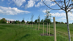 Das Projektgelände nach der Umsetzung der Maßnahmen