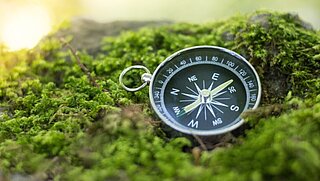 Symbolbild: Kompass liegt auf einem Moosbett