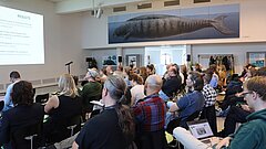 Several people are sitting on chairs in a room and watching a presentation that is visible on the wall.
