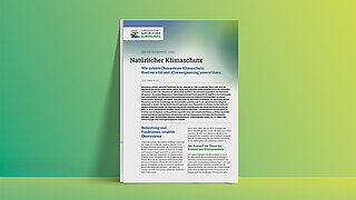 Grafik mit Titelseite des KNK-Hintergrundpapiers