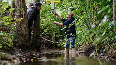 Drei Personen stehen an bzw. in einem Fluß und bauen ein Gerät an einen Baum. 