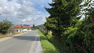 eine Straße, am Rand ein Kiesstreifen und einige Bäume, im Hintergrund Häuser 