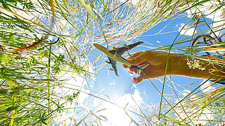 Modellflugzeug von unten, das symbolisch durch grüne Gräser fliegt 