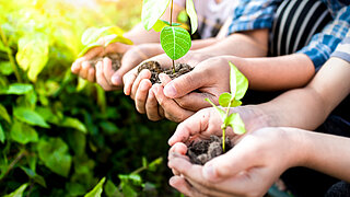 Drei Personen halten Pflanzensetzlinge in ihren Händen