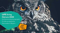 Uhu (LIFE living Natura 2000 Image)