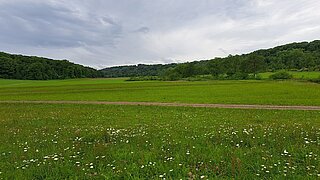 Eine Wiese, durch die ein Weg führt, im Hintergrund bewaldete Hügel 