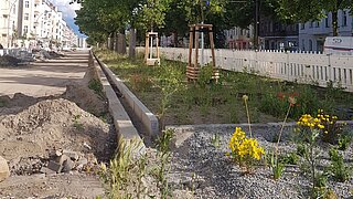 Auf dem Bild sind Straßenbauarbeiten zu sehen. In der Mitte ist ein Grünstreifen mit einer Blühweise und Bäumen. Rechts und links befinden sich Häuser.
