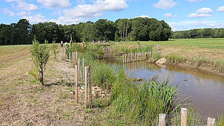 Landschaft mit einem kleinen Fluss, an dessen Ufer junge Bäume mit Schutzgittern gepflanzt sind, im Hintergrund Wald und blauer Himmel mit Wolken