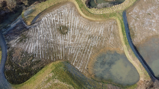 Luftaufnahme des Gebiets