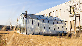 Gewächshaus im Schulgarten in Kolkwitz