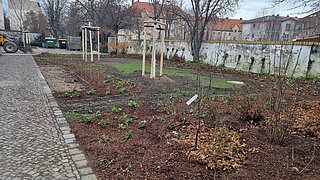Ein Beet mit Bäumen und Büschen im Herbst. Im Hintergrund ein Mehrparteien-Wohnhaus.