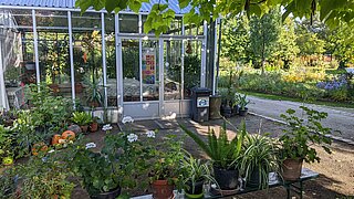 Das Grüne Klassenzimmer