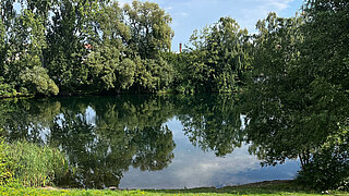 Uferbereich im ehemaligen Naturbad Rehmsdorf