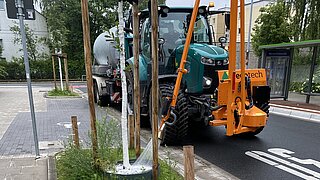 Eine Traktor mit Wasserwagen fährt vor einem Baum, um ihn zu bewässern.