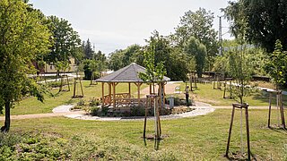 Blick auf einen Pavillion aus Holz, der von kleinen, neu gepflanzten und größeren Bäumen umgeben ist. 