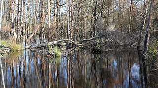LIFE-NAT-Vernetzungstreffen 2024