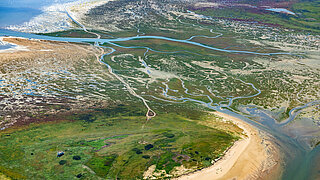 Landschaft mit Salzwiese und Wasser im Hamburger Wattenmeer