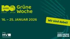 Grafik mit grünem Hintergrund und gelbem Text: '100 Jahre 1926-2026 Grüne Woche', darunter '16. – 25. Januar 2026', rechts gelbes Banner mit 'Wir sind dabei!', unten Logos von Mecklenburg-Vorpommern und Messe Berlin.