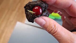 Zwei Finger halten einen Gegenstand (erinnert an eine braune Kastanienschale mit einer Kastanie)