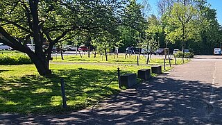 ein Baum auf einer Grünfläche, im Hintergrund weiter Bäume, davor ein asphaltierter Weg