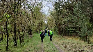 Mehrere Personen wandern einen Waldweg entlang. Man sieht sie von hinten. 