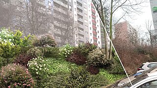 Vergleichsansicht einer begrünten Böschung vor und nach der Pflege mit unterschiedlichen Pflanzen und Sträuchern neben einem Wohnhaus und geparkten Autos.