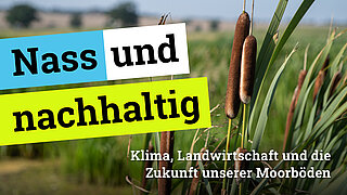 Titelbild des Podcasts "Nass und nahhaltig"