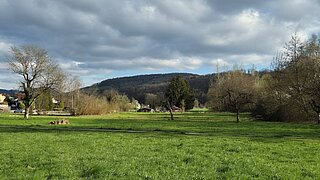 Eine Wiese mit einigen Bäumen, im Hintergrund Gebäude und ein Berg