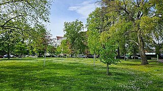 Stadtpark und Grünanlage Promenadenring in Markranstädt