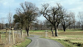 Ein asphaltierter Radweg umgeben von grüner Wiese