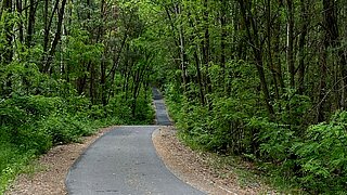 Ein asphaltierter Radweg im grünen Laubwald