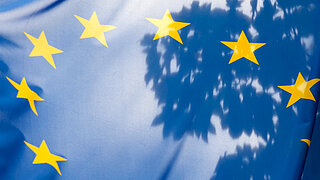 EU-Flagge vor Baum
